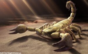 sand scorpion - mit Quelle